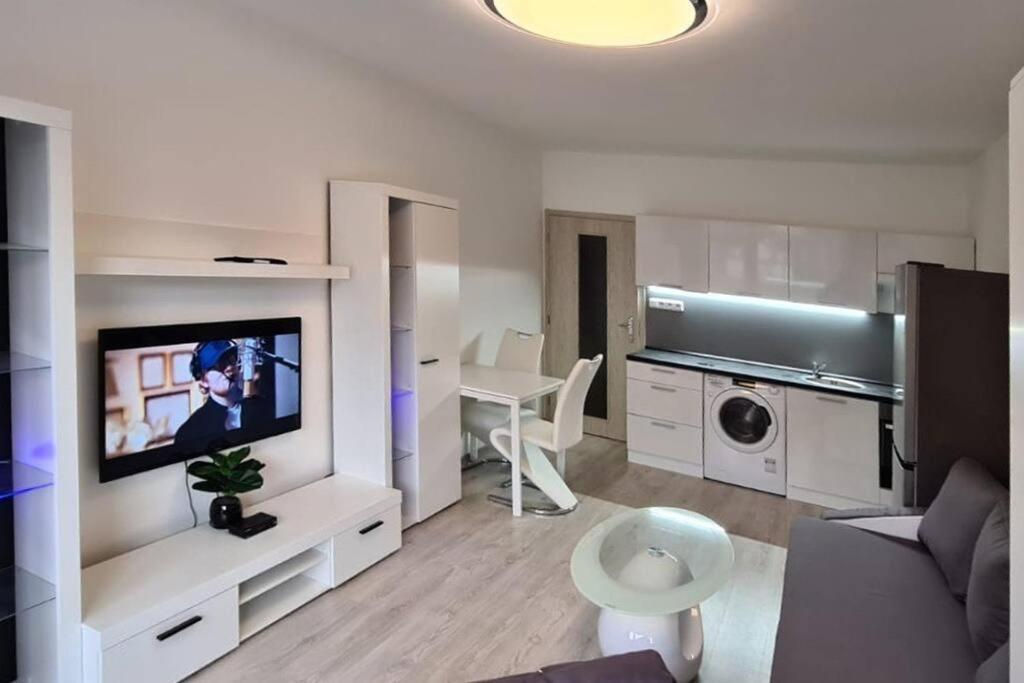 Utulny Apartman V Centru, S Krasnym Vyhledem ジェチーン エクステリア 写真