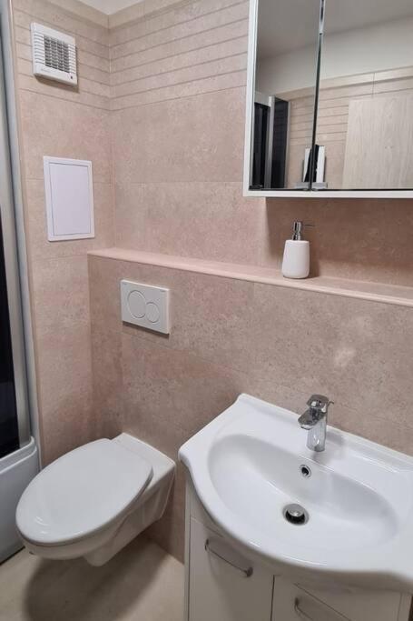 Utulny Apartman V Centru, S Krasnym Vyhledem ジェチーン エクステリア 写真